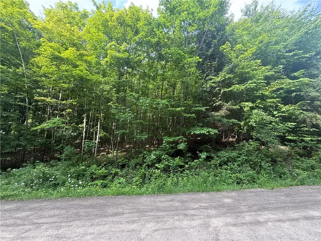 $95,000 | 7420 Feather Street, Springwater, NY 14512
