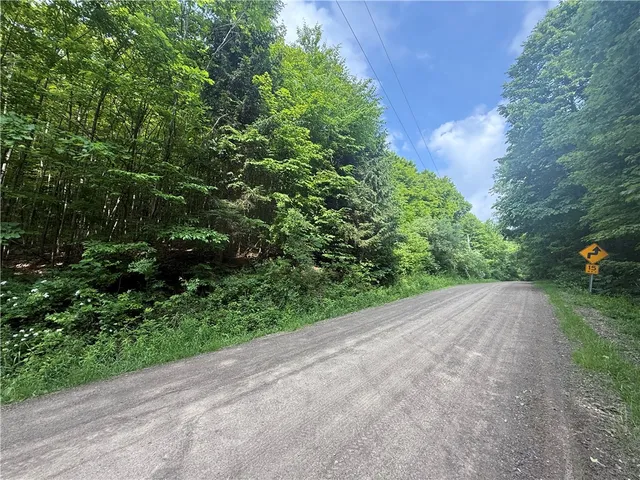 $95,000 | 7420 Feather Street, Springwater, NY 14512