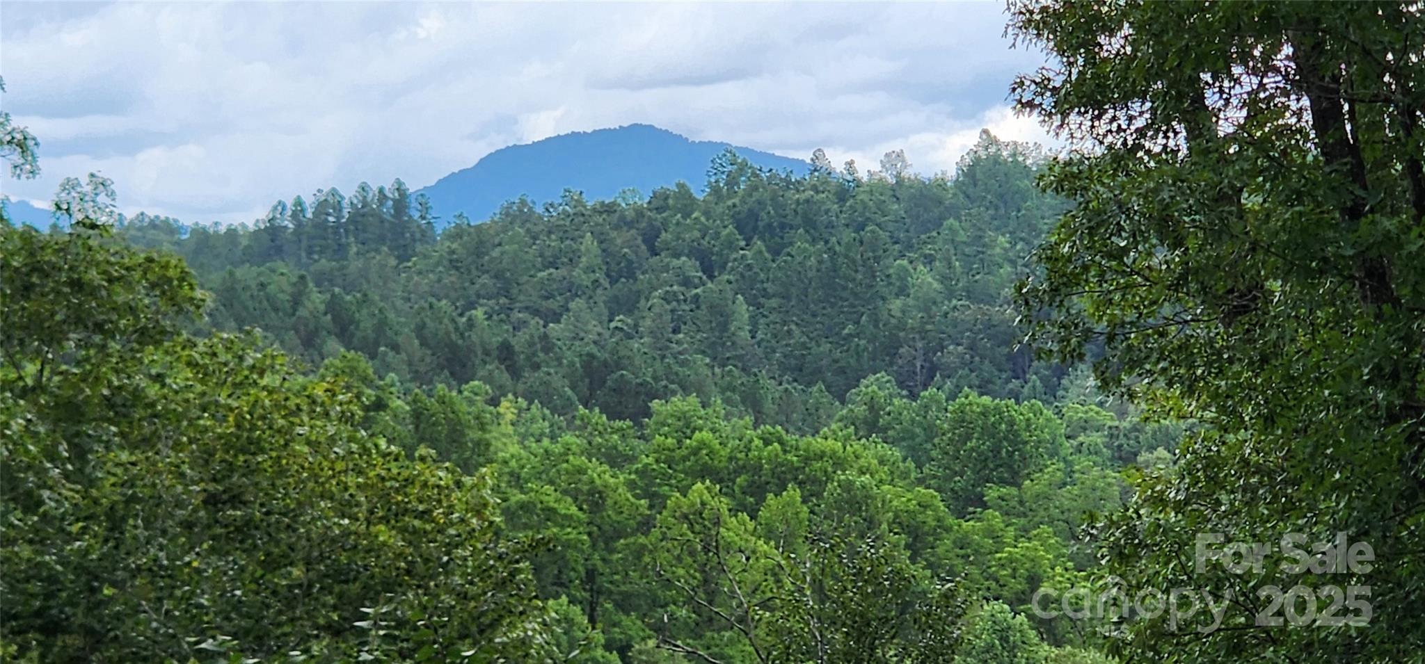 a view of a city with lush green forest
