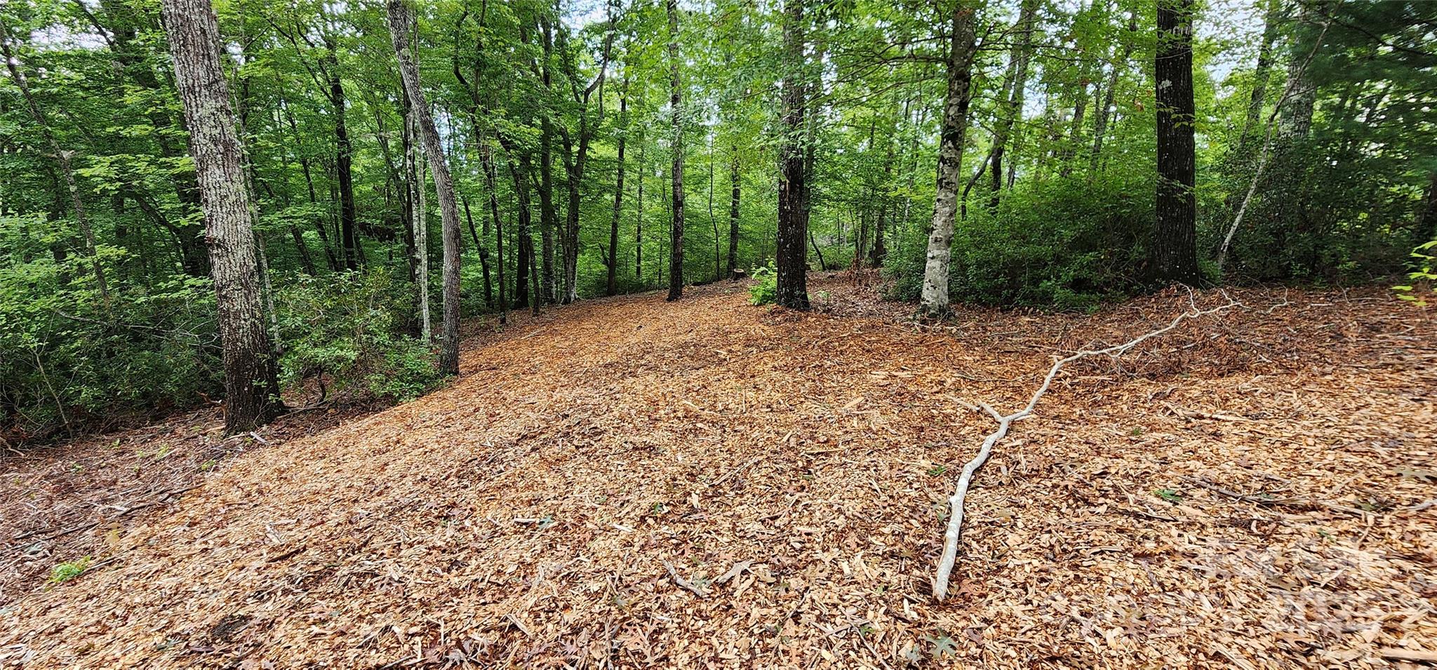 Lot 3 South Cross Creek Trail Mill Spring Mill Spring, NC 28756 - Photo 14 of 25 a view of outdoor space and yard