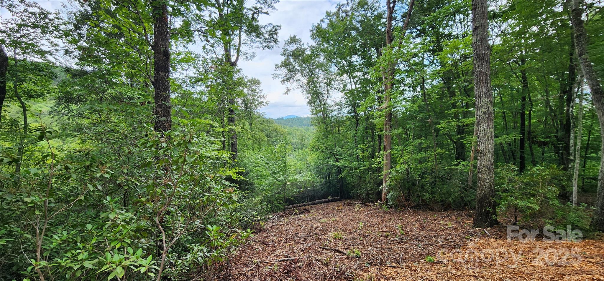 Lot 3 South Cross Creek Trail Mill Spring Mill Spring, NC 28756 - Photo 15 of 25 a big yard with lots of green space and trees