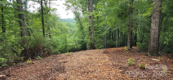a view of a road with trees in the background