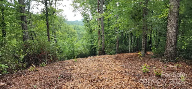 a view of a road with trees in the background