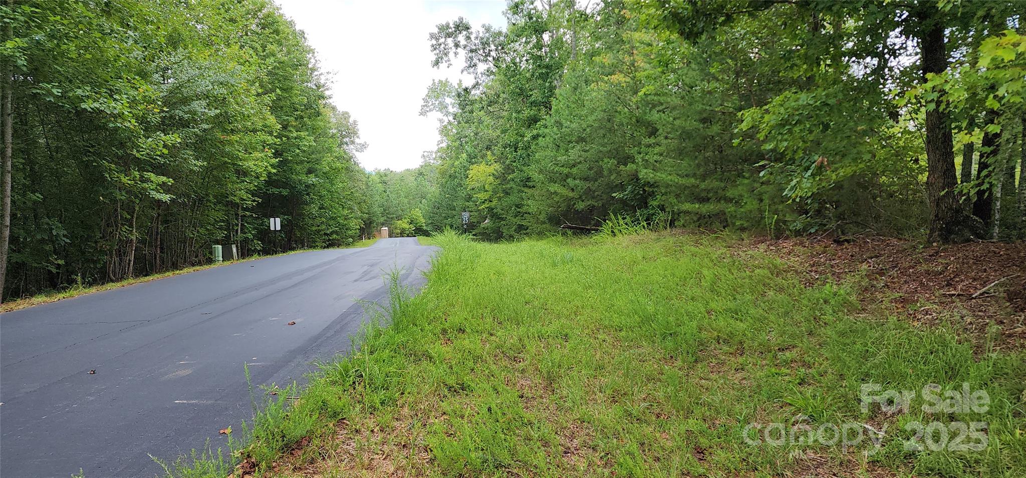 Lot 3 South Cross Creek Trail Mill Spring Mill Spring, NC 28756 - Photo 21 of 25 a view of a yard with plants