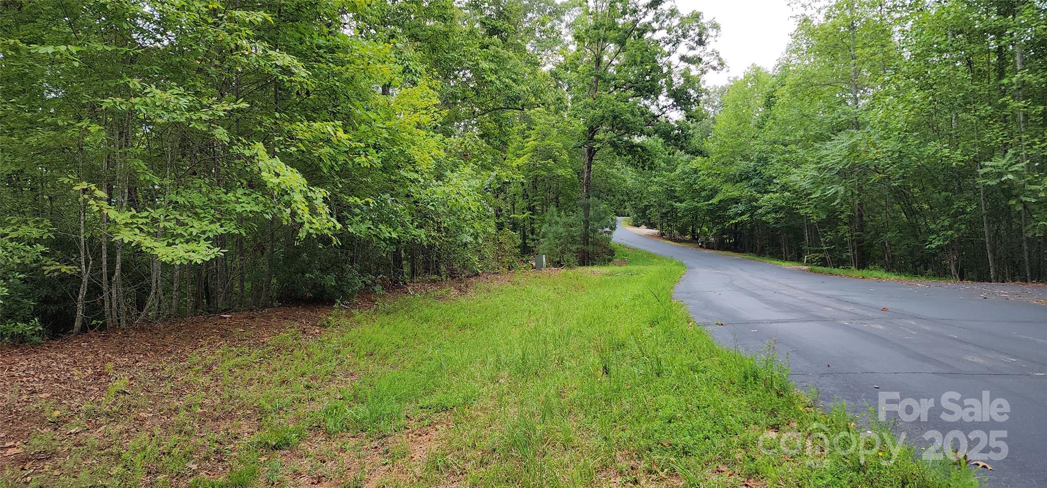Lot 3 South Cross Creek Trail Mill Spring Mill Spring, NC 28756 - Photo 23 of 25 a view of a yard with trees