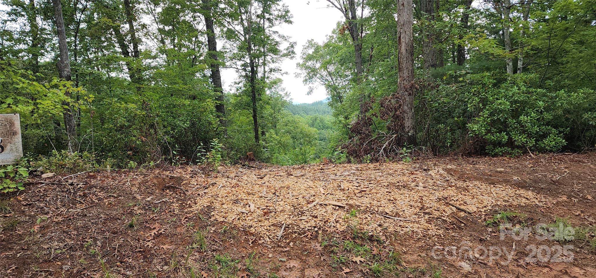 Lot 3 South Cross Creek Trail Mill Spring Mill Spring, NC 28756 - Photo 24 of 25 a view of a forest with trees in the background