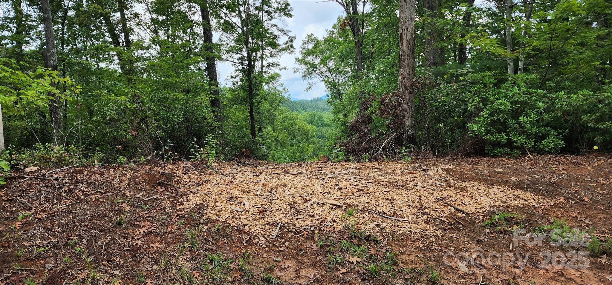Lot 3 South Cross Creek Trail Mill Spring Mill Spring, NC 28756 - Photo 25 of 25 a view of a yard with plants and large trees