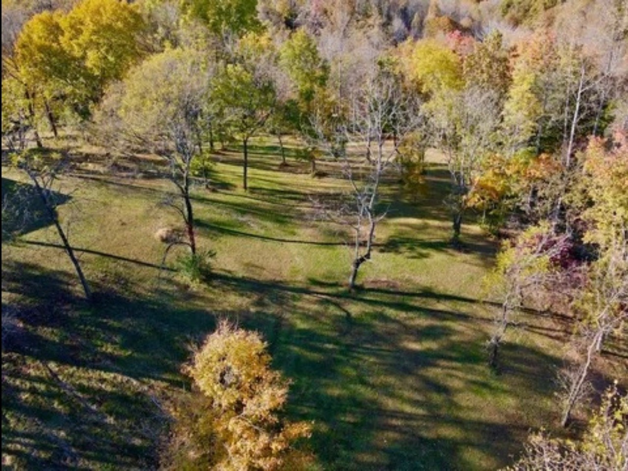 2325 Pea Ridge Fire Tower Road Celina, TN 38551 - Photo 17 of 24 Gallery Image 17