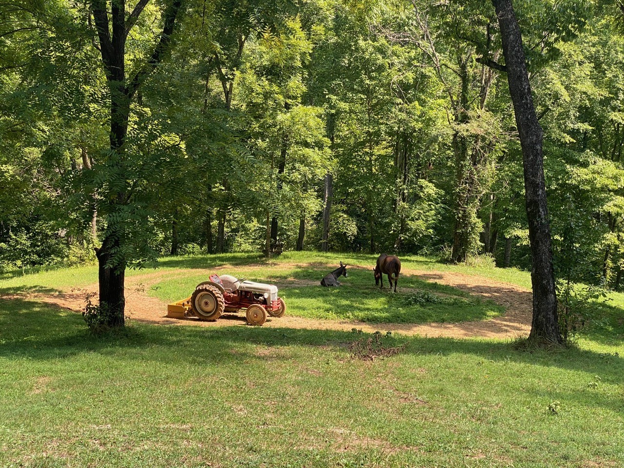 2325 Pea Ridge Fire Tower Road Celina, TN 38551 - Photo 23 of 24 Gallery Image 23