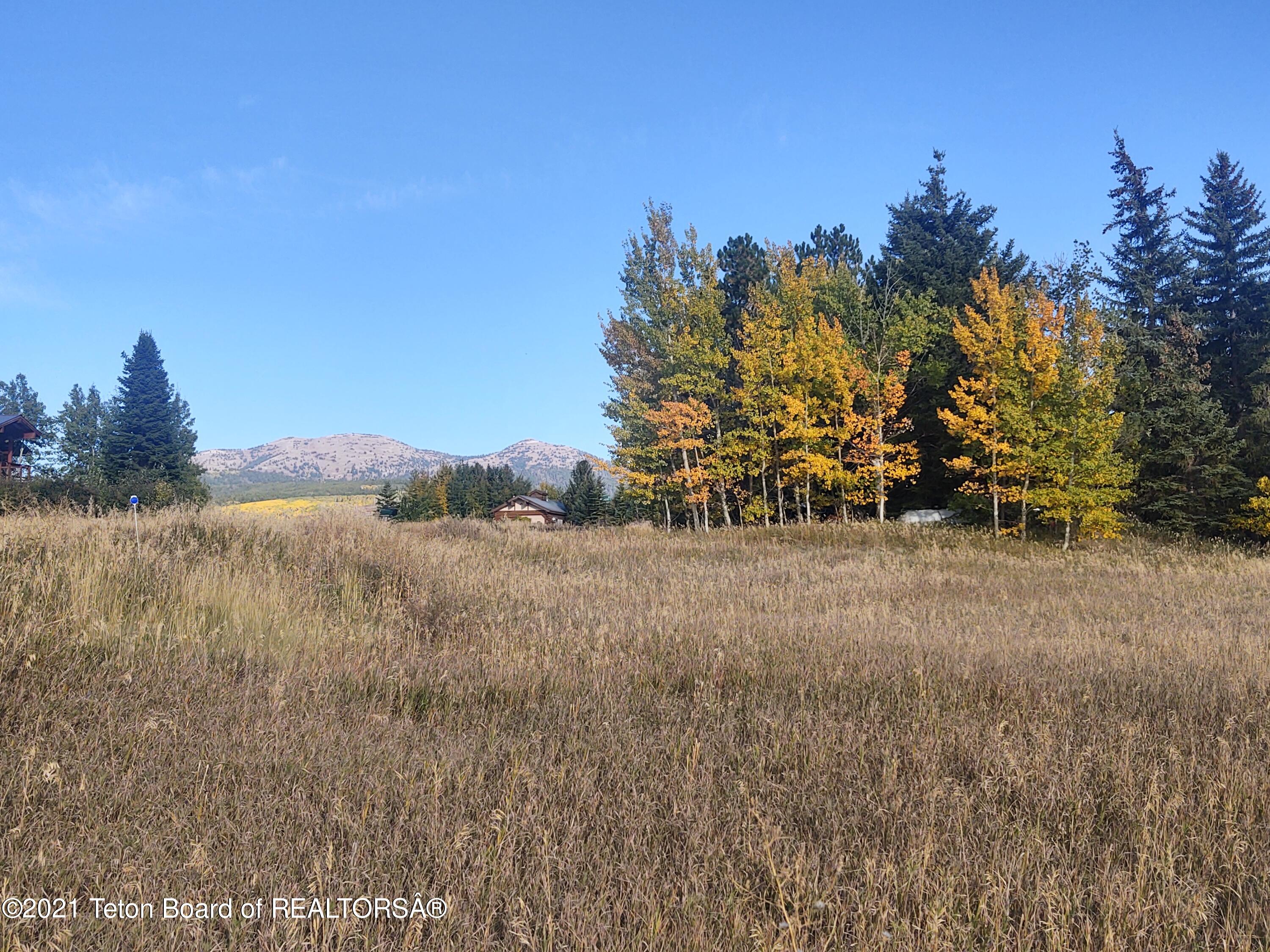 445 Targhee Towne Road Alta, WY 83414 - Photo 7 of 16 NE view Targhee Fall