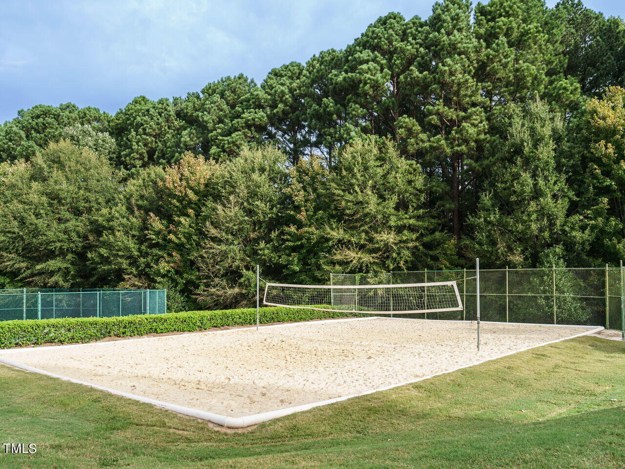 207 Rushing Wind Way Apex, NC 27502 - Photo 37 of 41 040-1280x960-volleyball