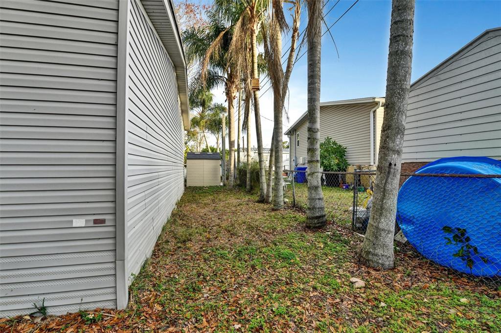 312 Aristides Street Dunedin, FL 34698 - Photo 33 of 38 a view of a backyard with large trees