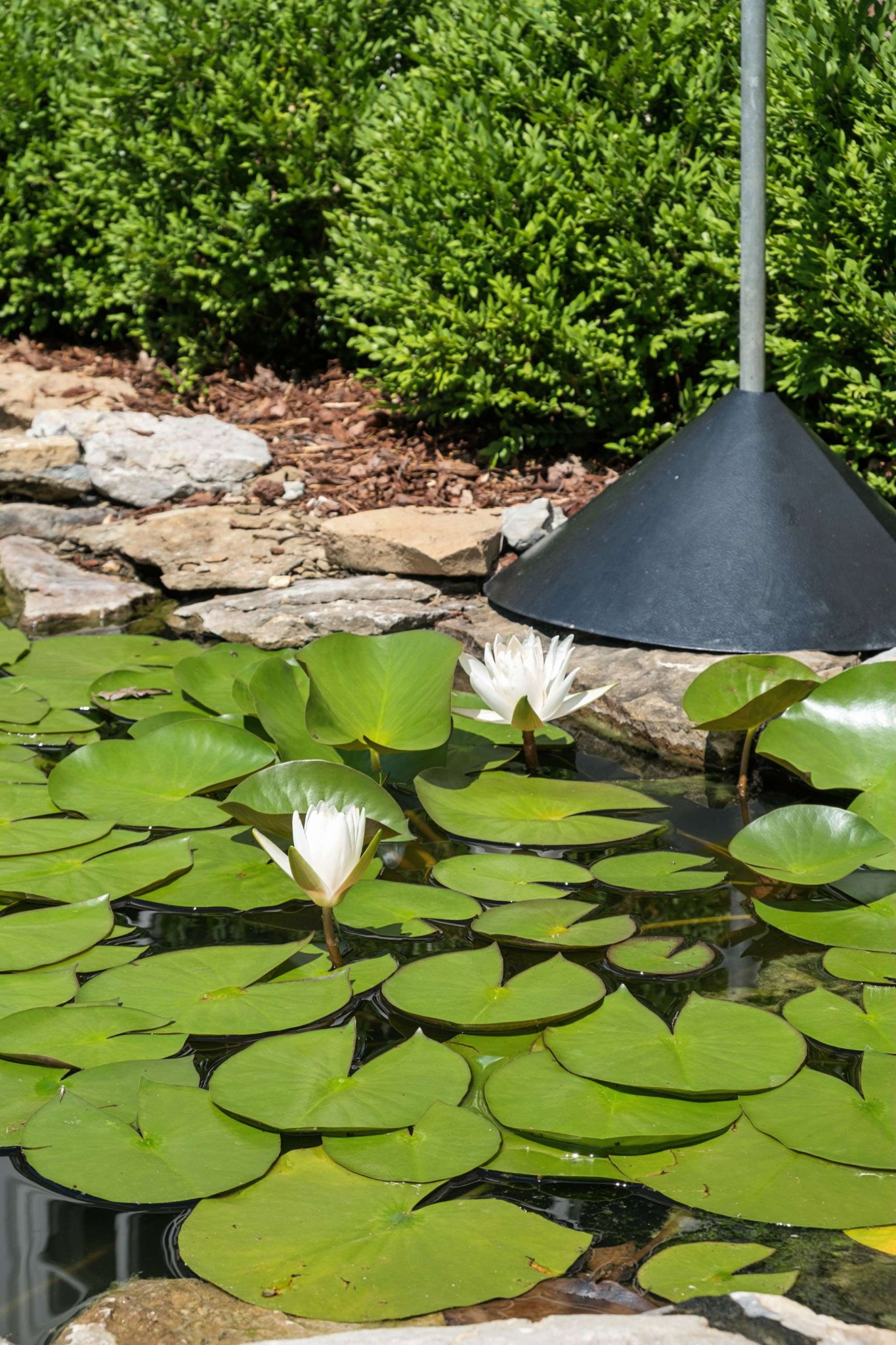 4911 Sewanee Road Nashville, TN 37220 - Photo 8 of 56 Gallery Image 8