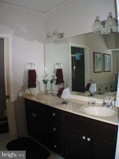 12309 Old Stillhouse Road Boston, VA 22713 - Photo 11 of 23 Master Bath #2