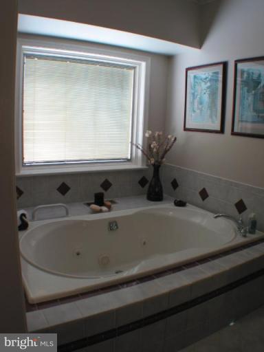 12309 Old Stillhouse Road Boston, VA 22713 - Photo 10 of 23 Master Bath