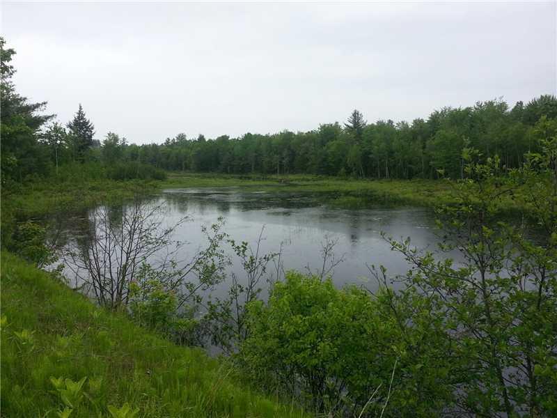 180 Railroad Bed Road Medford, ME 04463 - Photo 5 of 8 Waterfront/Dock/Pier.