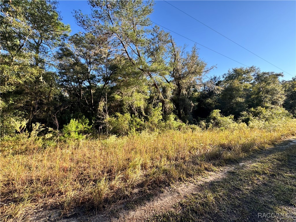 7451 West Dunnellon Road Dunnellon, FL 34433 - Photo 7 of 15 Road at Back of Property
