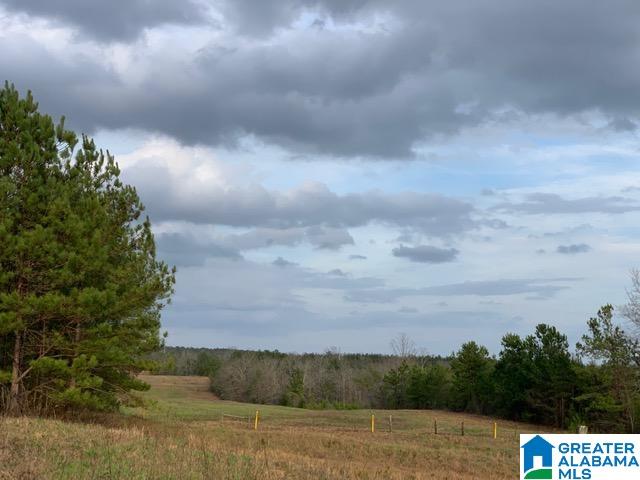 0 County Road 99, Unit 1 Verbena, AL 36091 - Photo 4 of 11
