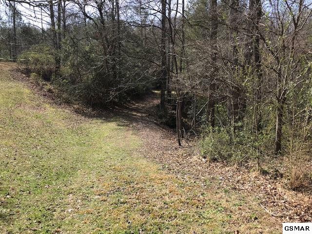 11 Reed Ridge Road Gatlinburg, TN 37738 - Photo 6 of 12