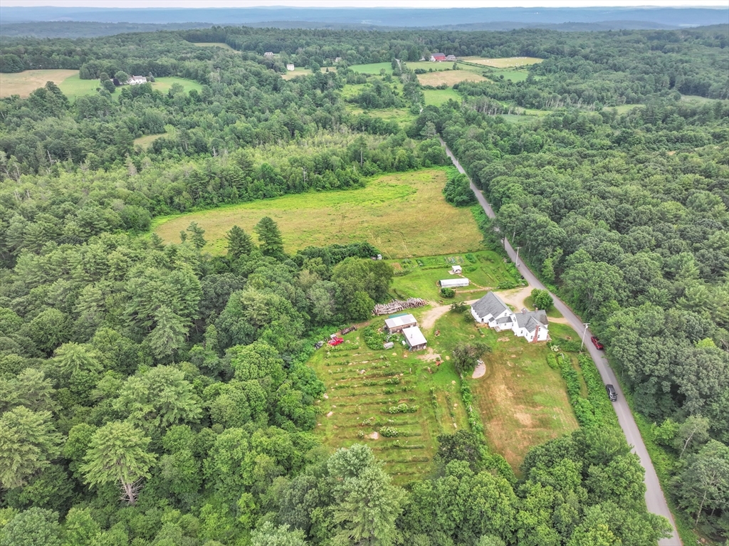 665 Thresher Road Hardwick, MA 01037 - Photo 36 of 41 a view of a lush green forest with a lake