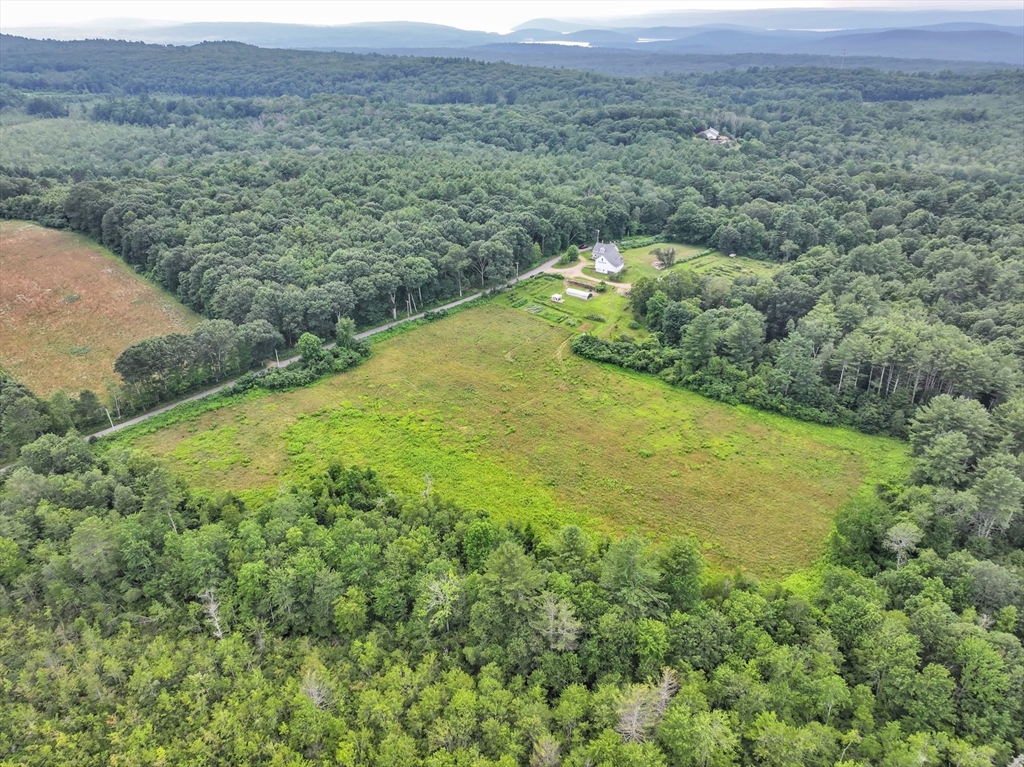 665 Thresher Road Hardwick, MA 01037 - Photo 39 of 41 a view of a lush green forest with lots of trees