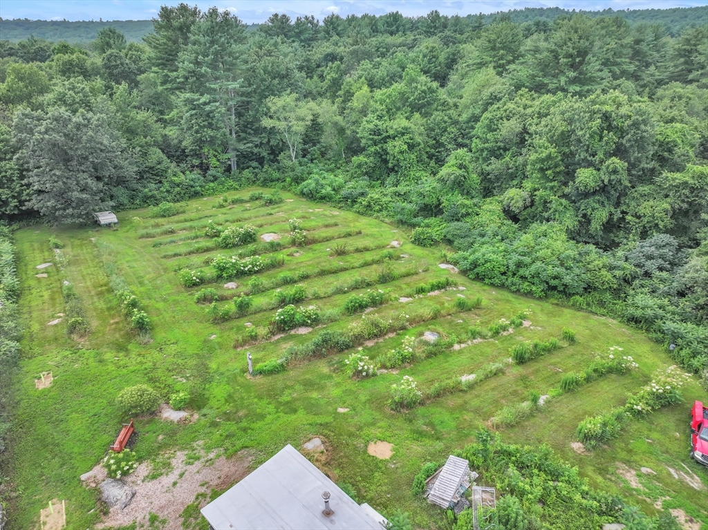 665 Thresher Road Hardwick, MA 01037 - Photo 40 of 41 a view of a lush green forest with large trees