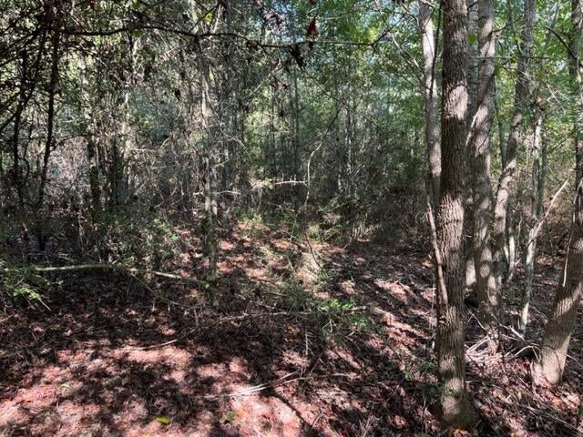 30-ac Union Grove Road Opp, AL 36467 - Photo 20 of 25 Gallery Image 20