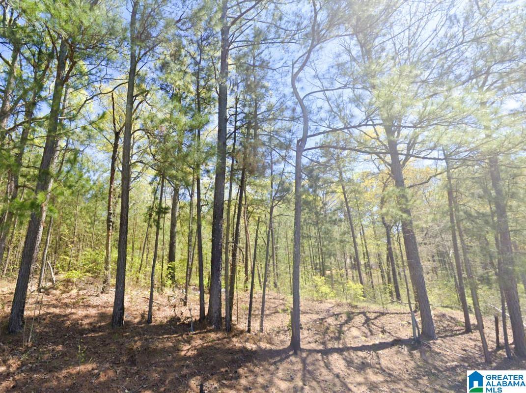5565 Red Robin Road Sylacauga, AL 35151 - Photo 9 of 15