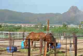 5880 West Horizante Road Tucson, AZ 85742 - Photo 9 of 9
