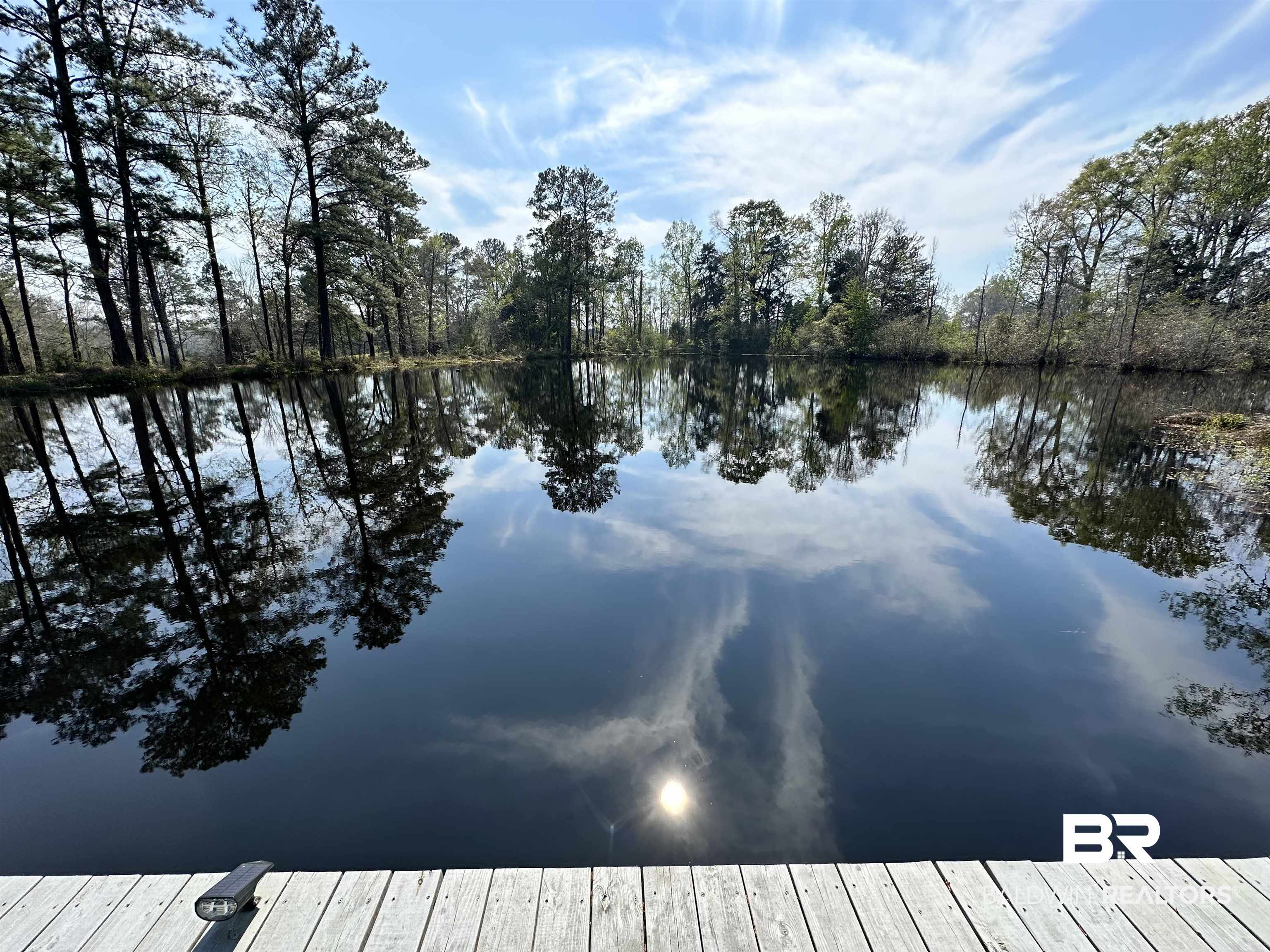9 Pierce Lane Castleberry, AL 36432 - Photo 8 of 50