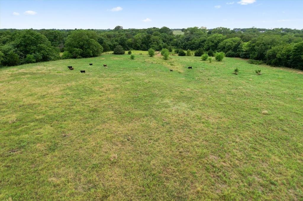 0 Whitaker Road Van Alstyne, TX 75495 - Photo 2 of 7