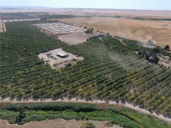 a picture of lake view with lots of trees