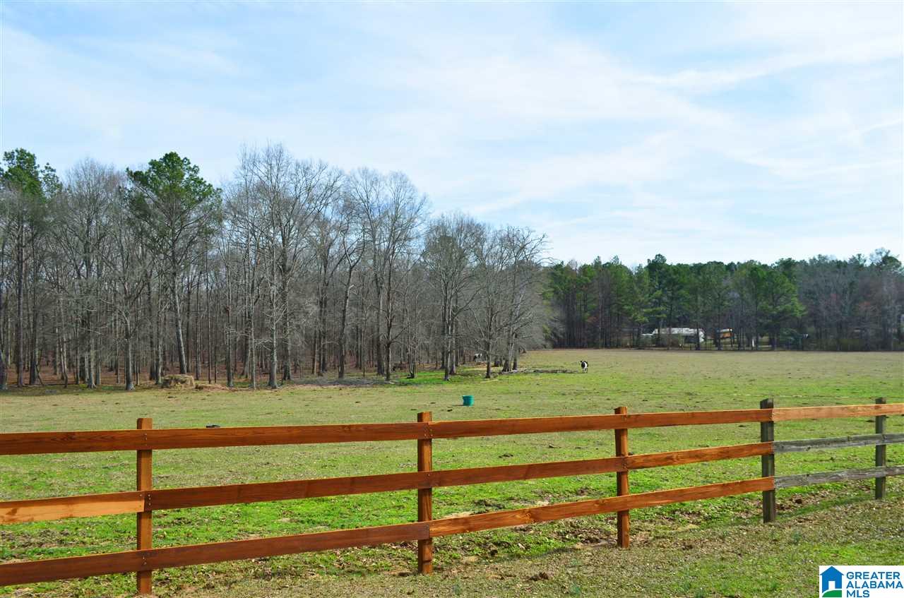 10 Spring Branch Road Columbiana, AL 35051 - Photo 45 of 49