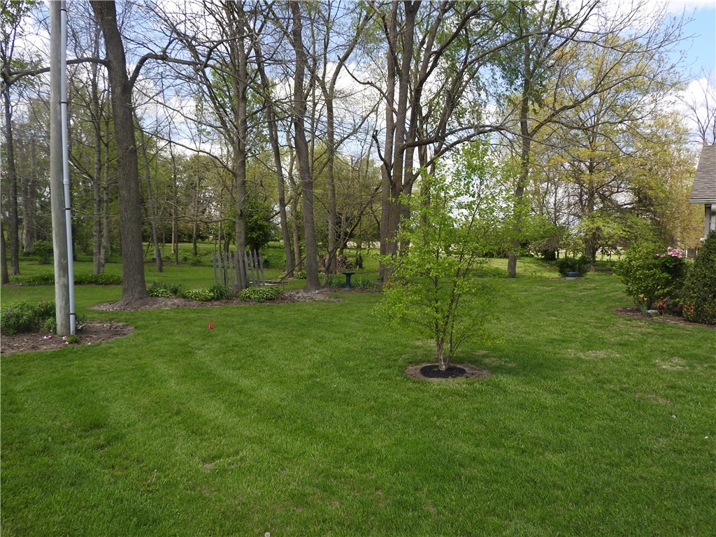 2185 East Loy Road Piqua, OH 45356 - Photo 3 of 19 This expansive green yard features mature trees and a vibrant young sapling, offering a serene outdoor retreat.
