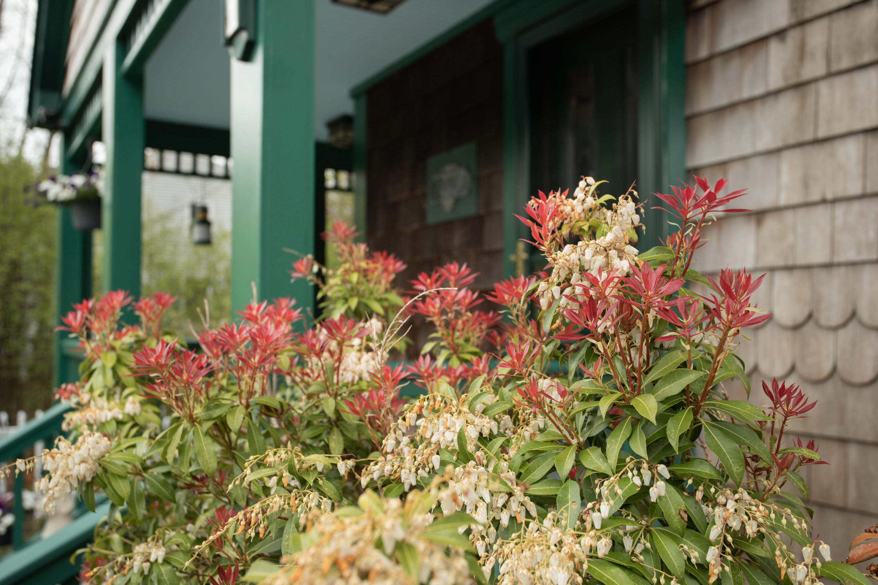 47 Nicole Road York, ME 03909 - Photo 19 of 25 47 Nicole Road York