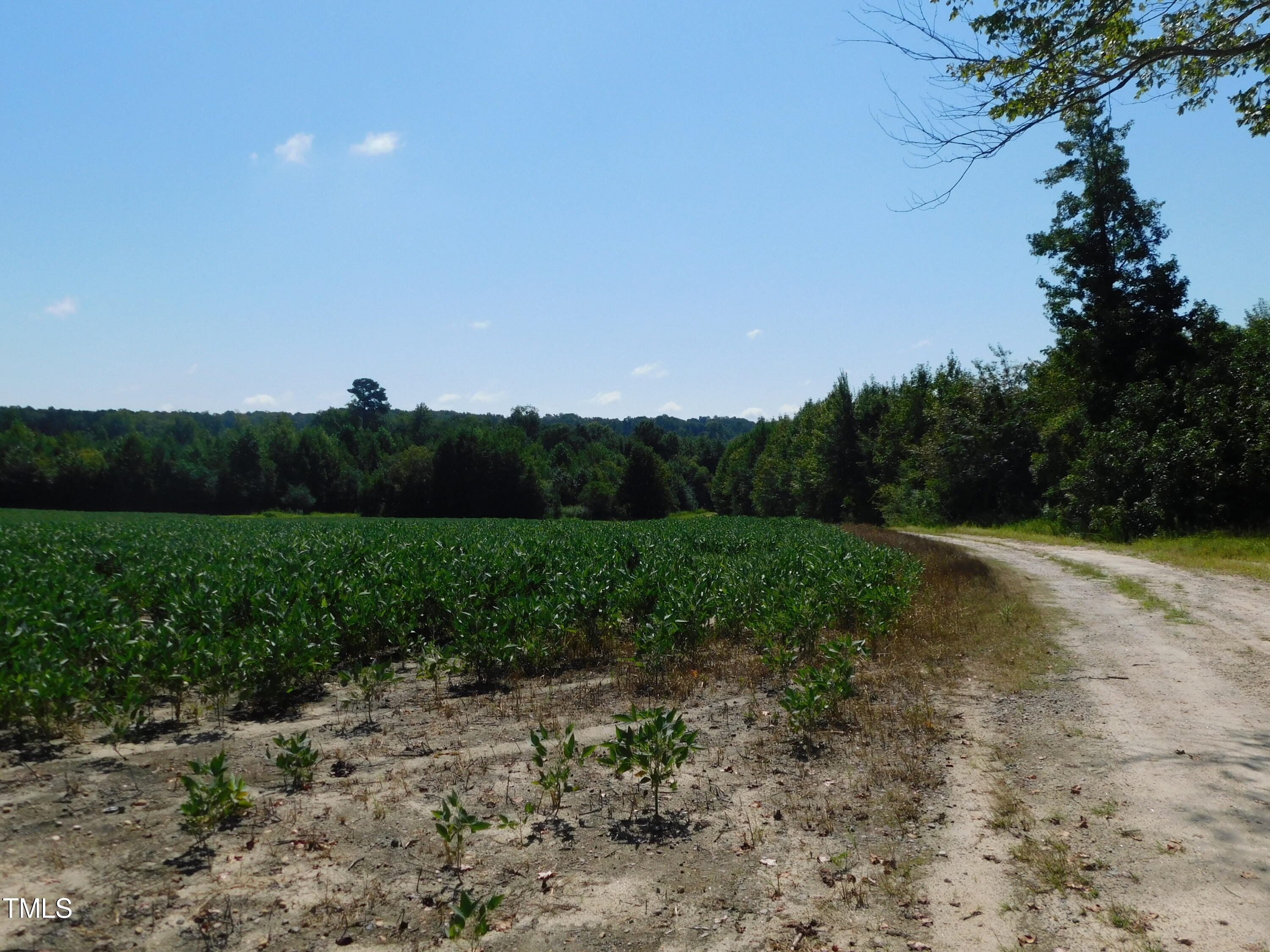 8186 Edwards Road Castalia, NC 27816 - Photo 10 of 19 DSCN0682