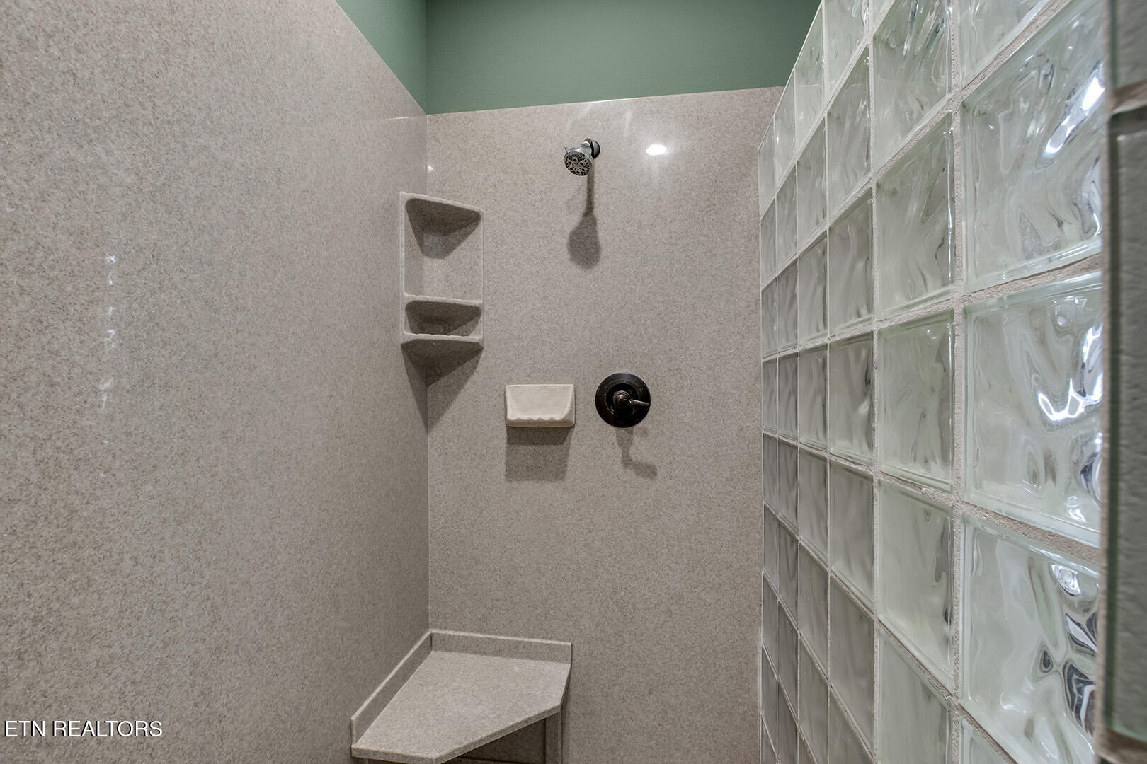 207 Amega Trace Loudon, TN 37774 - Photo 28 of 60 28_AmegaTrace_207_MasterShower