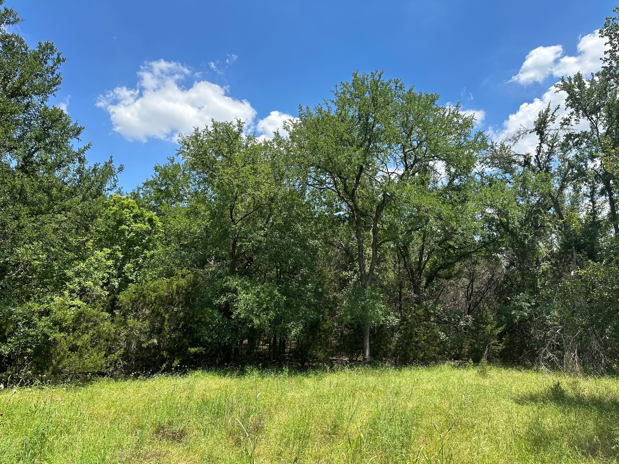 23 Dews Road Leander, TX 78641 - Photo 1 of 1 Gallery Image 1