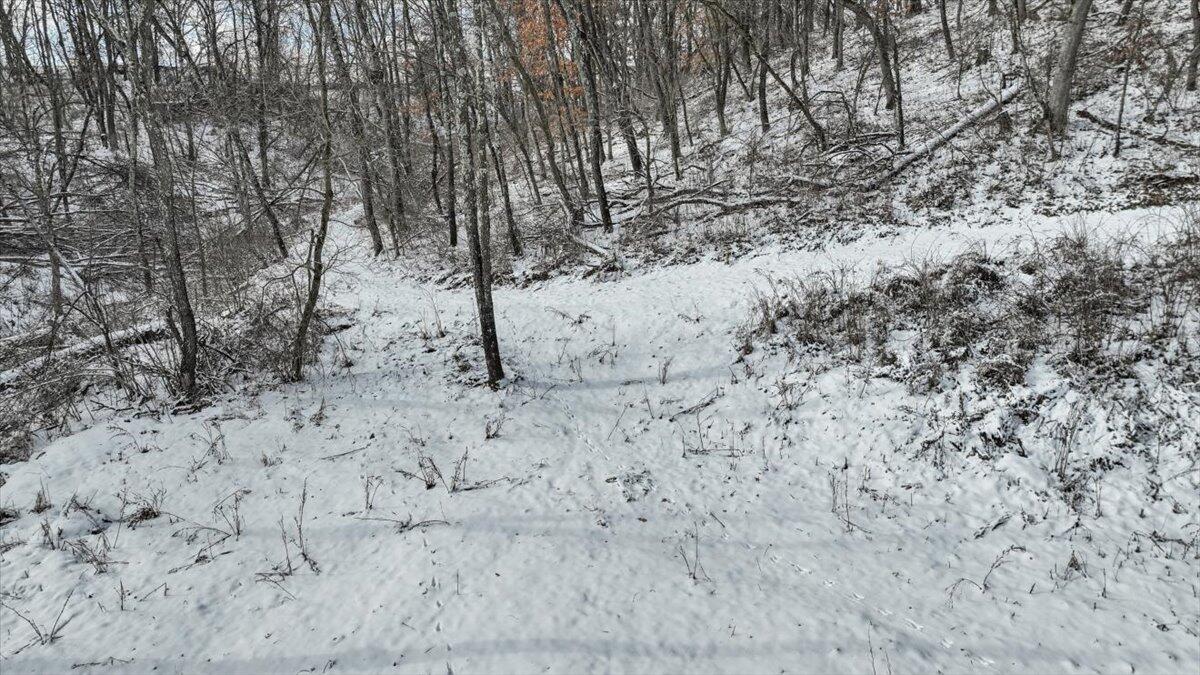 W16091 Dewey Road Northfield, WI 54635 - Photo 39 of 57 38-MLS