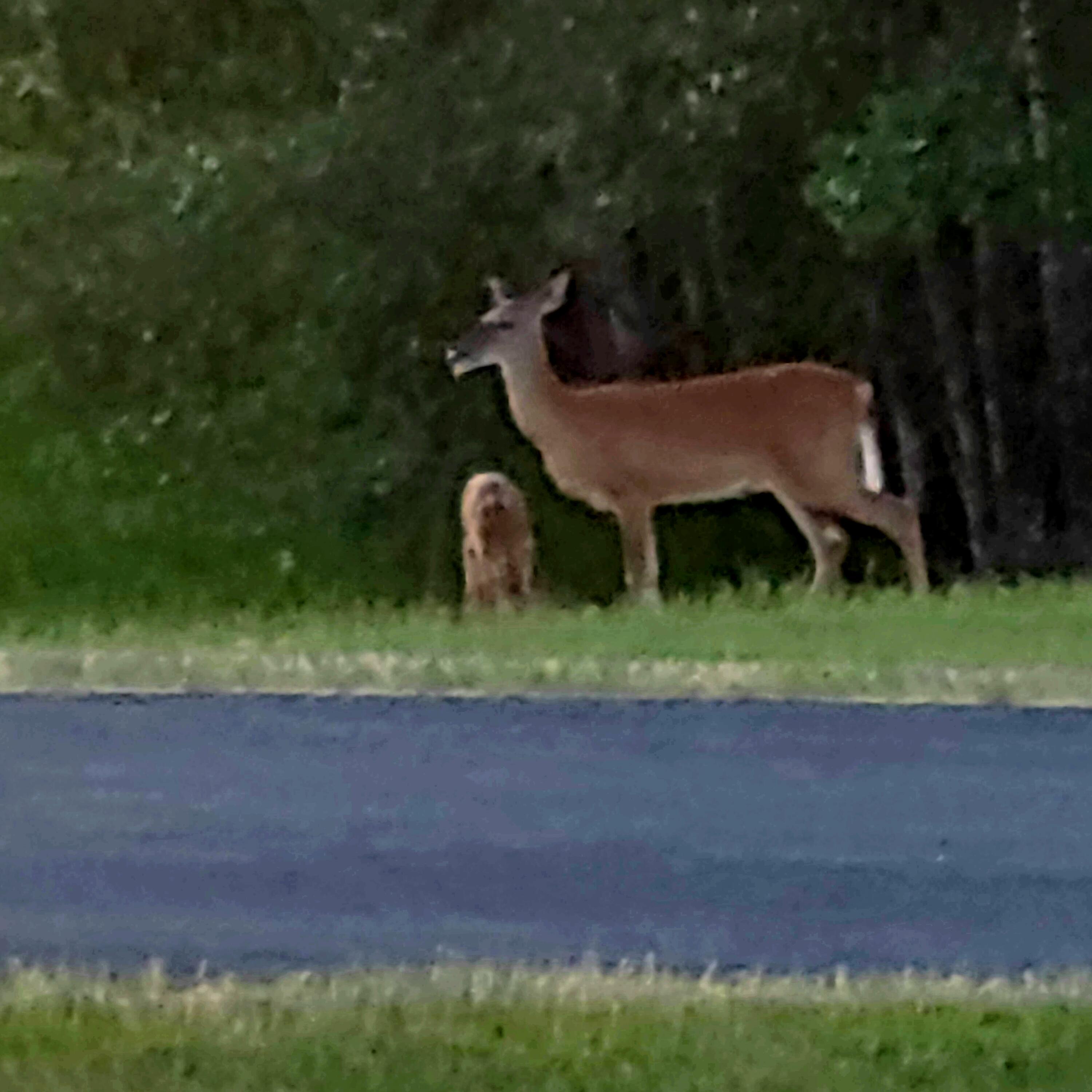 W16091 Dewey Road Northfield, WI 54635 - Photo 43 of 57 40a-MLS