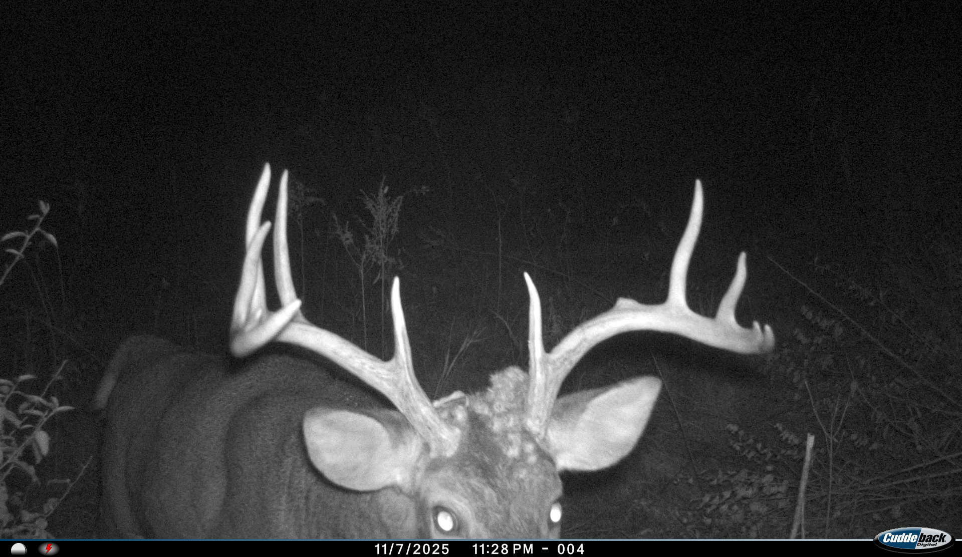 W16091 Dewey Road Northfield, WI 54635 - Photo 47 of 57 I__00139