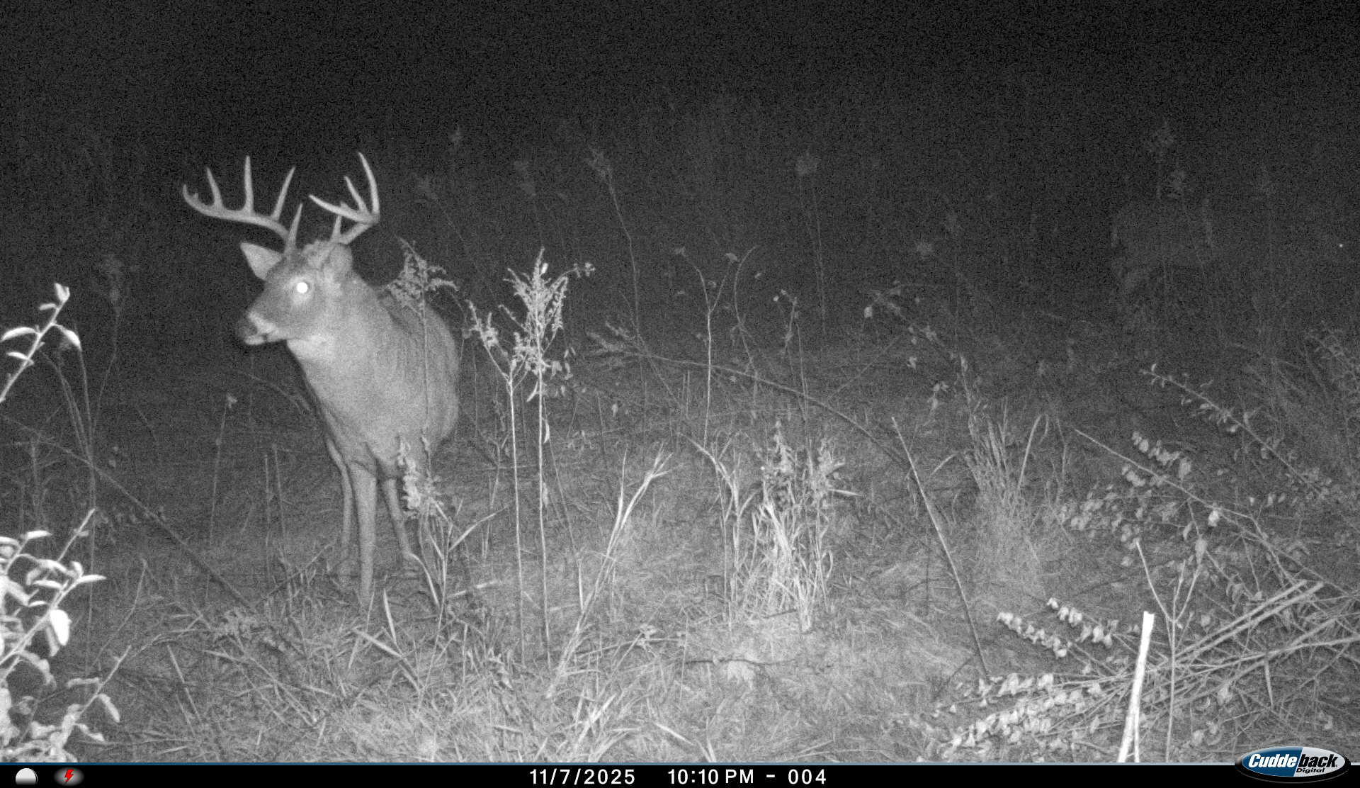 W16091 Dewey Road Northfield, WI 54635 - Photo 52 of 57 I__00125