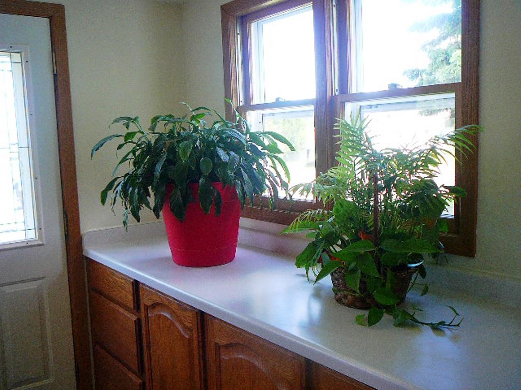 116 4th Street Butternut, WI 54514 - Photo 15 of 20 Gallery Image 15