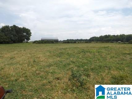 0 Highway 24 Oneonta Al Oneonta, AL 35121 - Photo 18 of 27