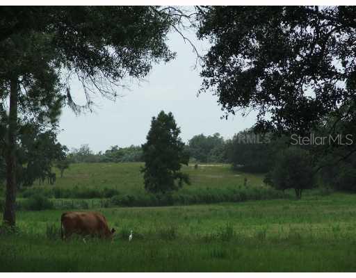 Other - 71 + MOL acres