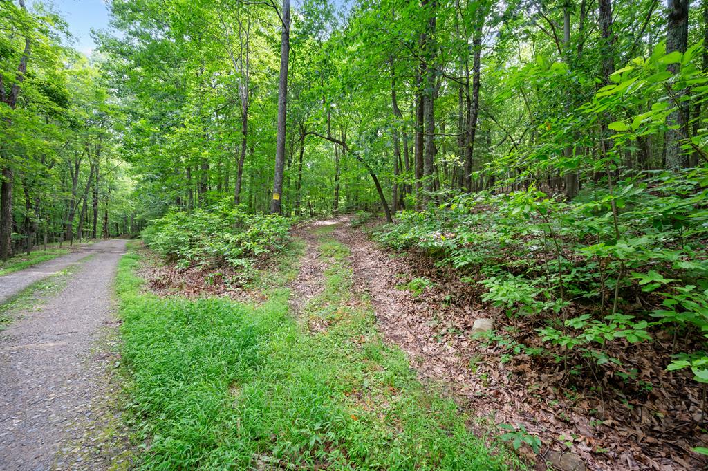 Lot G Springdale Road, Unit G Pearisburg, VA 24134 - Photo 11 of 62 Gallery Image 11