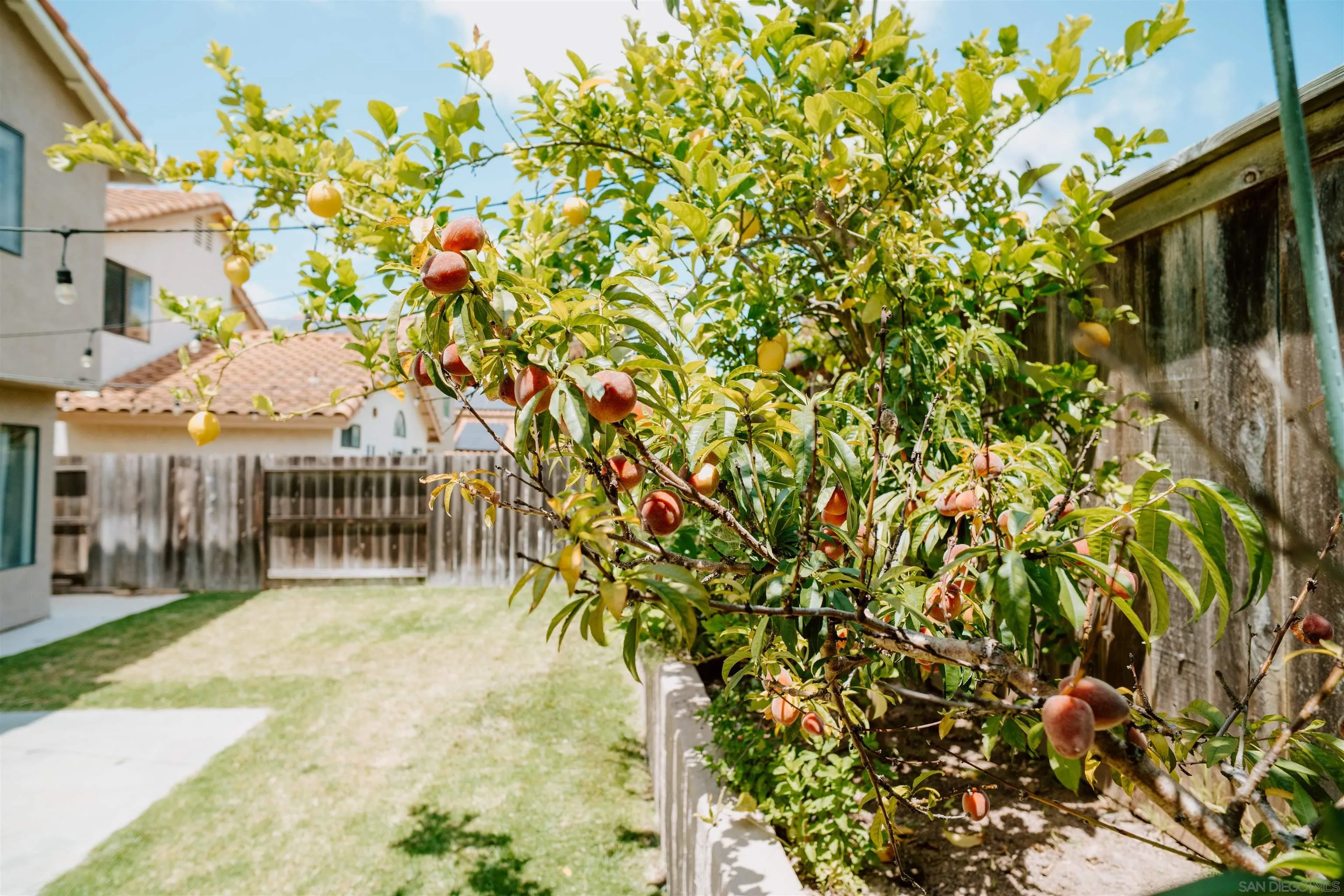 645 Paseo Rio Vista, CA 92081 - Photo 32 of 45