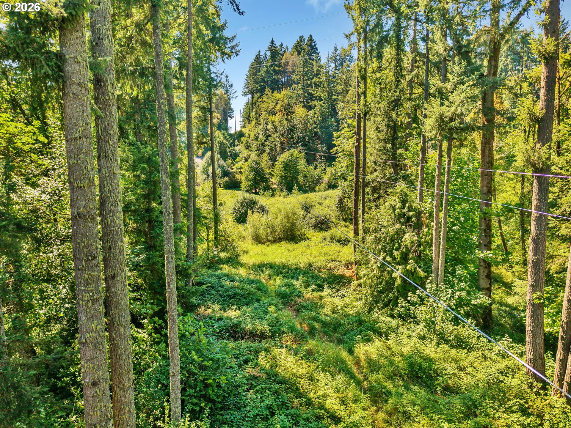 38193 Camp Creek Road, Unit 500 Springfield, OR 97478 - Photo 30 of 41 Gallery Image 30