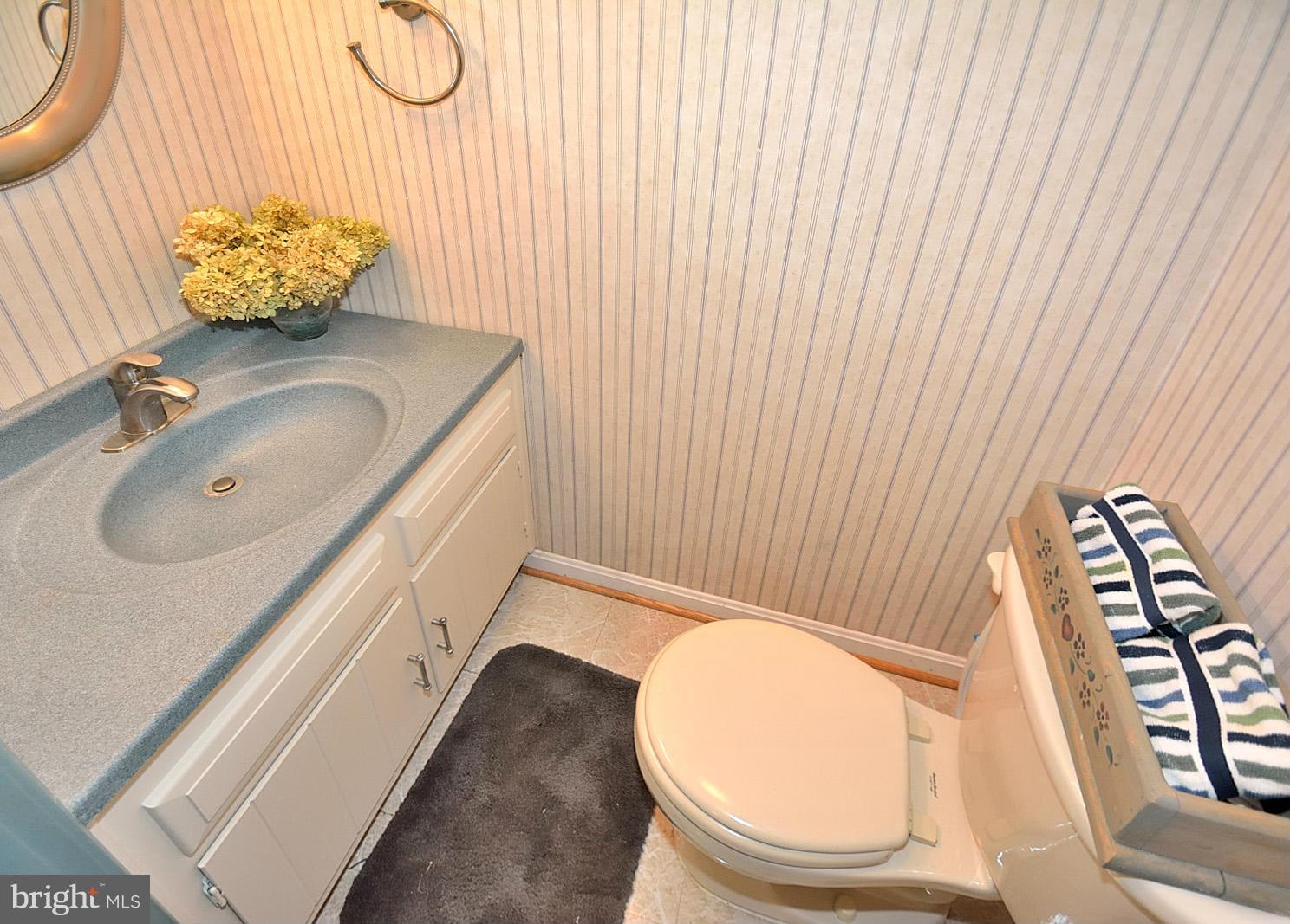 7929 Forest Path Way Springfield, VA 22153 - Photo 22 of 26 Powder Room Lower Level