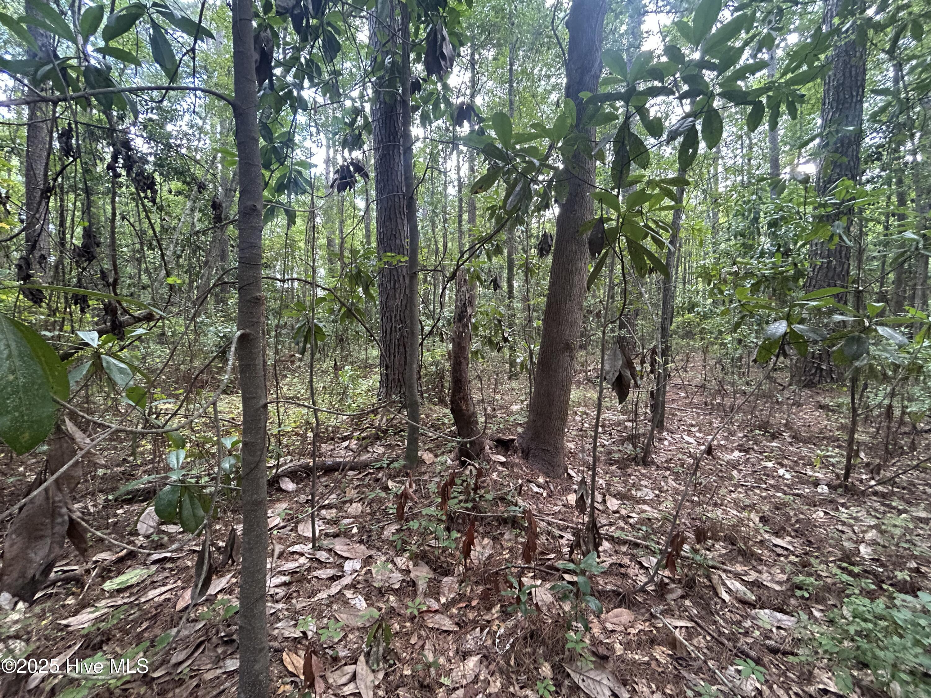 13 Rockhill Road Castle Hayne, NC 28429 - Photo 2 of 11 IMG_4793